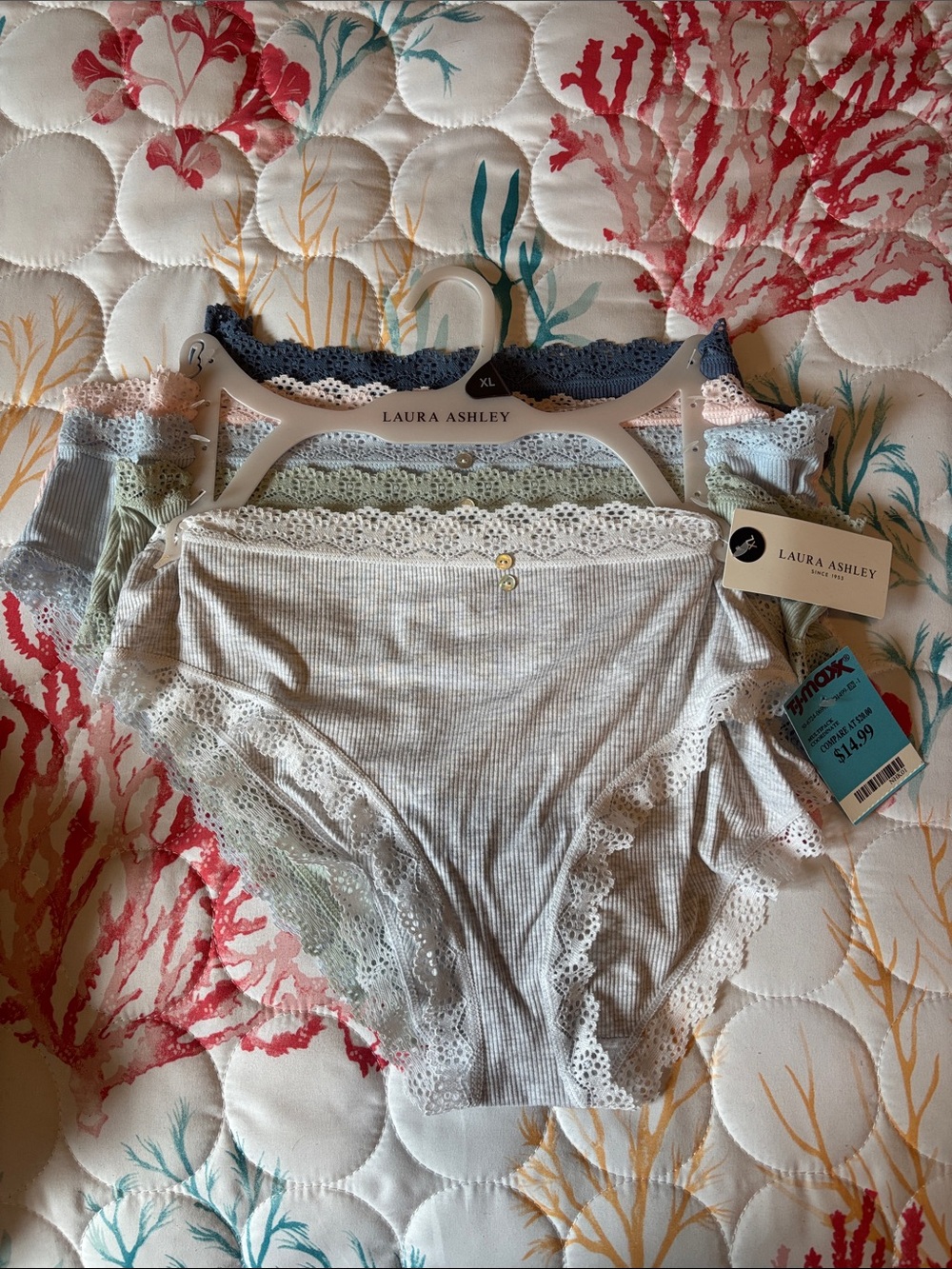 Laura Ashley Lace-Trim Ribbed Bikini Panties in Light Blue and Pastel Mix. XL